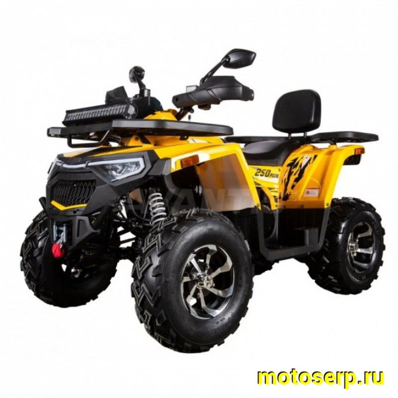Купить  250cc Комплект запчастей для сборки AVANTIS H250 BIG NEW Premium (баланс. вал) ", для база, эл/ручн стар (шт) ( купить с доставкой по Москве и России, цена, технические характеристики, комплектация фото  - motoserp.ru