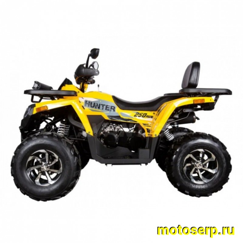 Купить  250cc Комплект запчастей для сборки AVANTIS H250 BIG NEW Premium (баланс. вал) ", для база, эл/ручн стар (шт) ( купить с доставкой по Москве и России, цена, технические характеристики, комплектация фото  - motoserp.ru