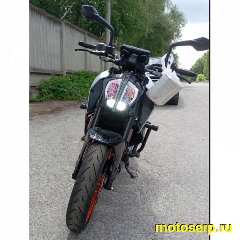 Купить  Мотоцикл  Motoland WASP 300(4T PR300) 17/17" 172FMM-5 PR300 (шт) (ML26635 купить с доставкой по Москве и России, цена, технические характеристики, комплектация фото  - motoserp.ru