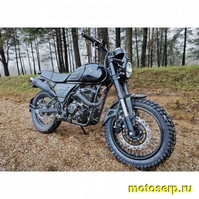 Купить  Мотоцикл RACER RC300-GY8H Triumph Чёрный (Рейсер Триумф) Кафе-рейсер 300cc, 170FMN 25лс, 4Т; 17"; 5 пер, диск торм, (шт)(ФОТО купить с доставкой по Москве и России, цена, технические характеристики, комплектация фото  - motoserp.ru