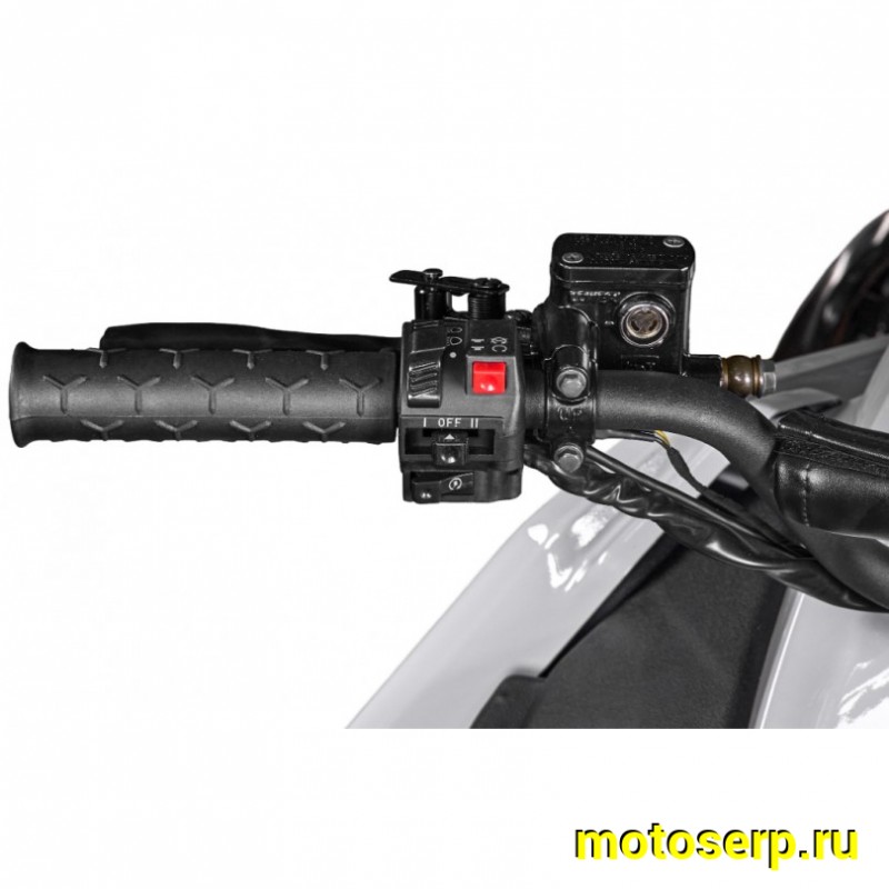 Купить  Снегоход IRBIS SF300 RPO EFI, 300сс 4т, жидкст..охл.,диск.,вариатор., инжектор. (шт) купить с доставкой по Москве и России, цена, технические характеристики, комплектация фото  - motoserp.ru