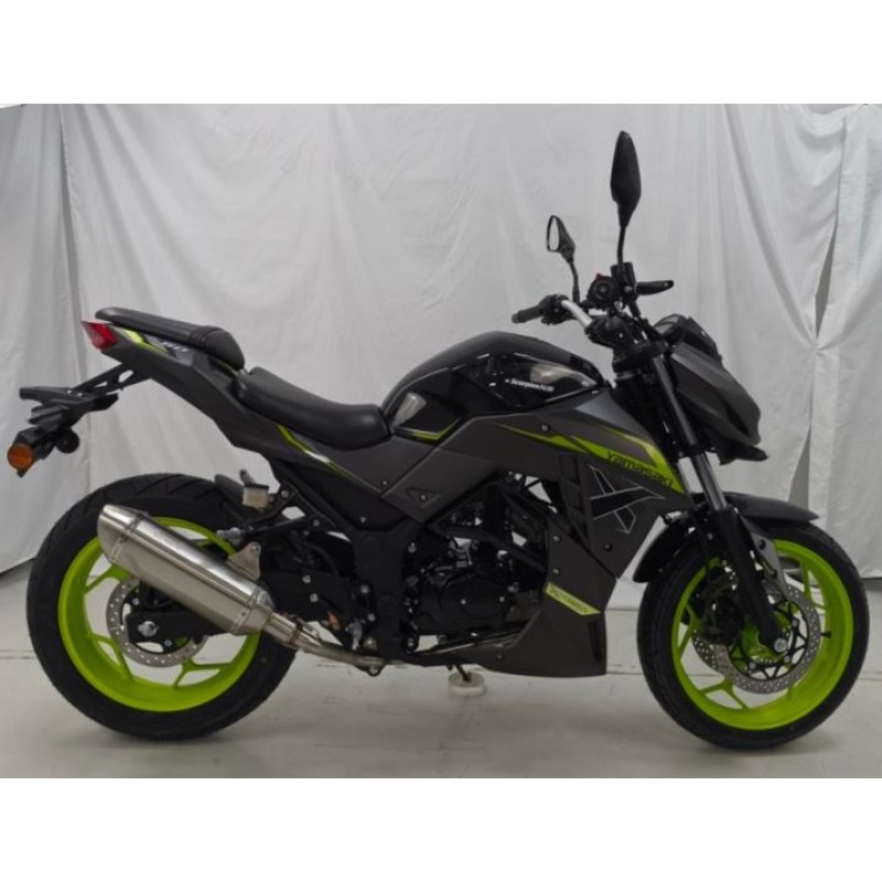 Купить  Мопед YAMASAKI SCORPION NS EFI + ЦПГ 125сс 2026г.  ЧЕРНЫЙ/ЗЕЛЕНЫЙ; 4Т; 50cc; 17"литые; 4пер, эл. старт; ИНЖЕКТОР (шт) 01250 купить с доставкой по Москве и России, цена, технические характеристики, комплектация фото  - motoserp.ru