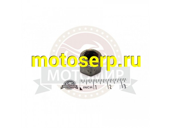 Купить  Гайка М14*1.5мм, бензокрана ИЖГ-25 (MM 04172 купить с доставкой по Москве и России, цена, технические характеристики, комплектация фото  - motoserp.ru