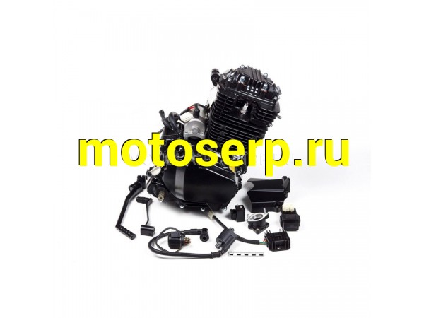 Купить  Двигатель 250см3 169FMM CB250 (грм цепь, 5ск) (ML 4132 купить с доставкой по Москве и России, цена, технические характеристики, комплектация фото  - motoserp.ru