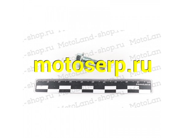 Купить  Болт направляющего ролика 154FMI 110-125см3 (ML 7316 купить с доставкой по Москве и России, цена, технические характеристики, комплектация фото  - motoserp.ru