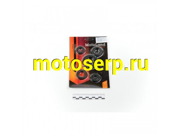 Купить  Набор сальников 164FML (CG200) (ML 5015 купить с доставкой по Москве и России, цена, технические характеристики, комплектация фото  - motoserp.ru