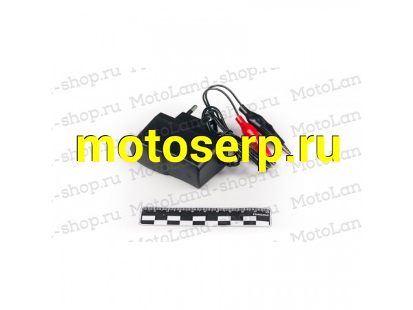 Купить  Зарядное устройство 6V1A (ML 4336 купить с доставкой по Москве и России, цена, технические характеристики, комплектация фото  - motoserp.ru