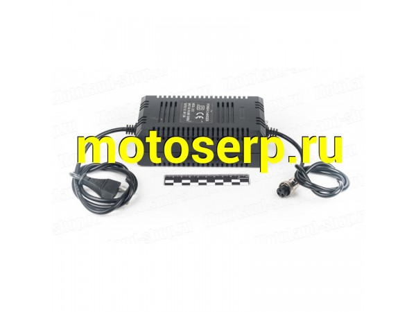 Купить  Зарядное устройство E-ATV500 (ML 5228 купить с доставкой по Москве и России, цена, технические характеристики, комплектация фото  - motoserp.ru