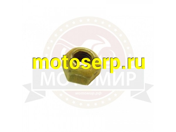 Купить  Гайка головки Вихрь (MM 03832 купить с доставкой по Москве и России, цена, технические характеристики, комплектация фото  - motoserp.ru