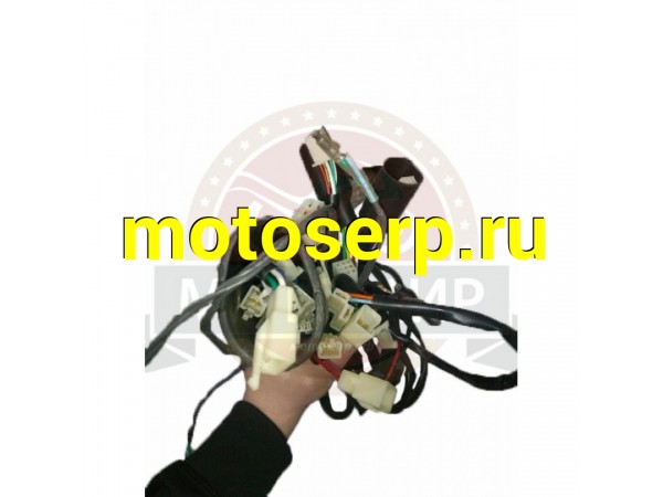 Купить  Проводка центральная ATV 110 / 125 RIDER (MM 32153 купить с доставкой по Москве и России, цена, технические характеристики, комплектация фото  - motoserp.ru