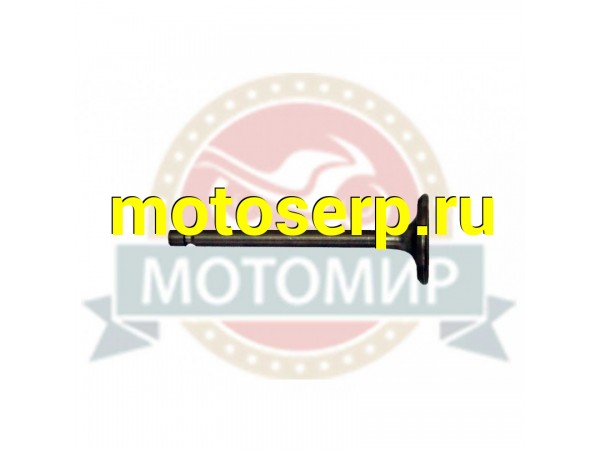 Купить  Клапан впускной Агрос (341.03.0.1011) (MM 07415 купить с доставкой по Москве и России, цена, технические характеристики, комплектация фото  - motoserp.ru