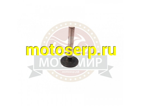 Купить  Толкатель клапана Каскад (MM 04623 купить с доставкой по Москве и России, цена, технические характеристики, комплектация фото  - motoserp.ru
