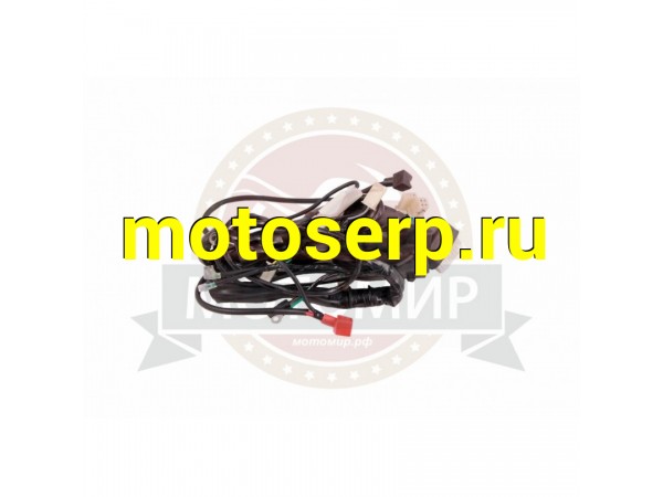 Купить  Жгут проводов VJ (MM 31965 купить с доставкой по Москве и России, цена, технические характеристики, комплектация фото  - motoserp.ru