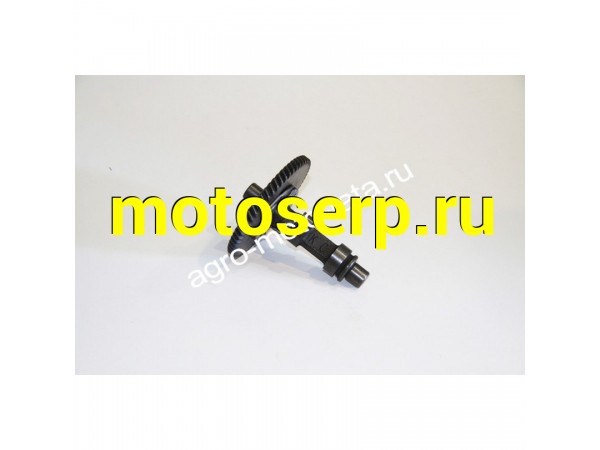 Купить  Распредвал (Z58) 177F (ML 10521 купить с доставкой по Москве и России, цена, технические характеристики, комплектация фото  - motoserp.ru