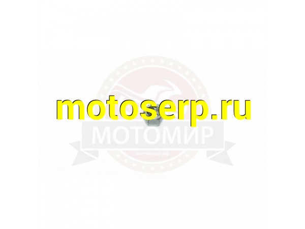 Купить  Гайка М6*1мм, крепления катушки триммера SF7A202 (36) (MM 35032 купить с доставкой по Москве и России, цена, технические характеристики, комплектация фото  - motoserp.ru