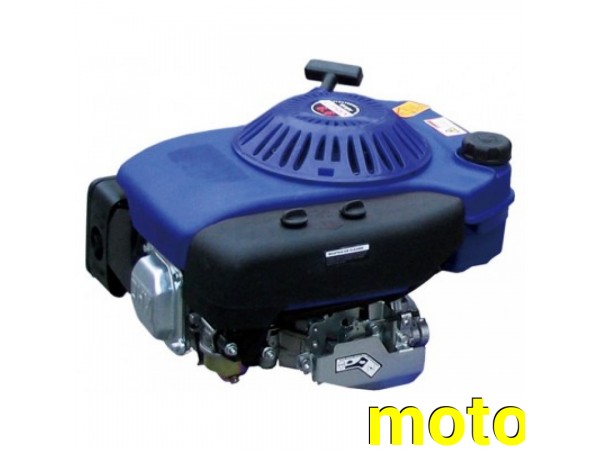 Купить  Двигатель LIFAN  6 л.с. 1Р70FV-B L2 (вертикальный вал d22 мм и d25.4 мм, ДВЕ шпонки ) (MM 91833 купить с доставкой по Москве и России, цена, технические характеристики, комплектация фото  - motoserp.ru