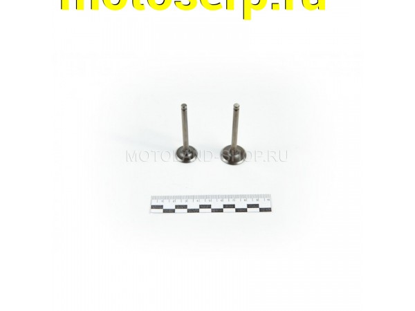 Купить  Клапаны (компл 2шт.) 139FMB 50-70см3 (ML 2404 купить с доставкой по Москве и России, цена, технические характеристики, комплектация фото  - motoserp.ru