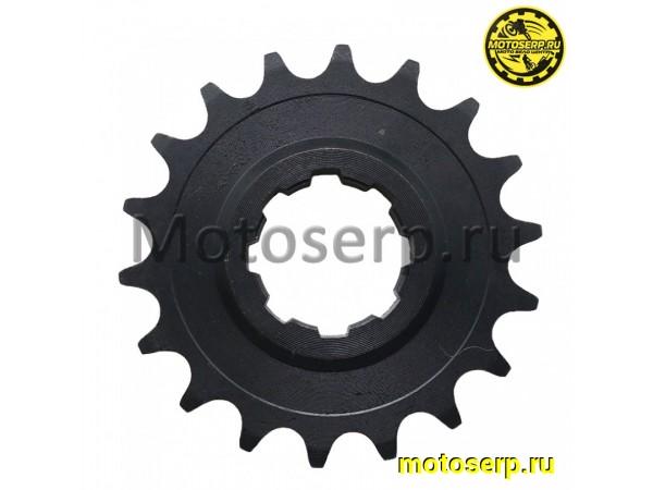 Купить  Звезда ведущая ИЖ 18 зуб. (шт) (MT C-1857 (Дан (R7 купить с доставкой по Москве и России, цена, технические характеристики, комплектация фото  - motoserp.ru