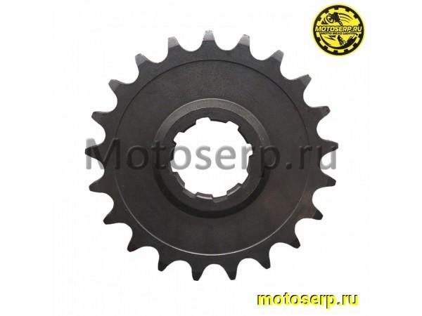 Купить  Звезда ведущая ИЖ 21 зуб. (шт) (Дан (R7 (MM 90407 купить с доставкой по Москве и России, цена, технические характеристики, комплектация фото  - motoserp.ru
