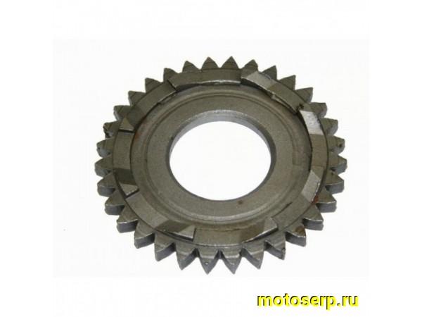 Купить  Храповик корзины сцепл. Иж Юп (шт) (Дан (R7 купить с доставкой по Москве и России, цена, технические характеристики, комплектация фото  - motoserp.ru