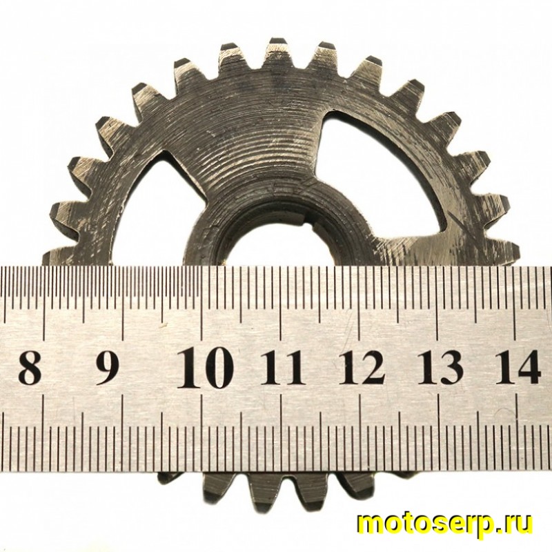 Купить  Шестерня Минск 1 пер. (29зуб.) Минск (шт) (Дан (R8 (Мир 03023 купить с доставкой по Москве и России, цена, технические характеристики, комплектация фото  - motoserp.ru