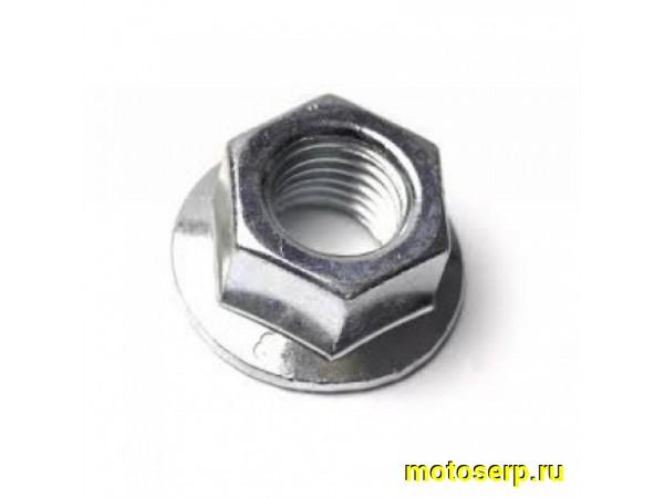 Купить  ====Гайка шпильки d-7mm Пилот, Skif-50, 139QMB и др, (шт) (0 купить с доставкой по Москве и России, цена, технические характеристики, комплектация фото  - motoserp.ru