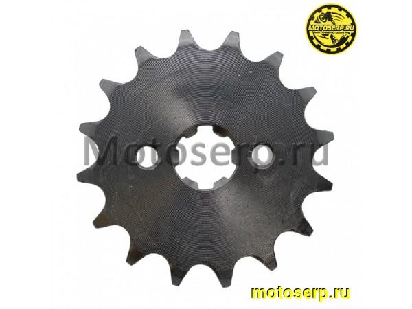 Купить  Звезда ведущая (428) ЗИД-50 Пилот, YM Scorpion, Leader и др 16 зуб. (шт) (Дан (R8 купить с доставкой по Москве и России, цена, технические характеристики, комплектация фото  - motoserp.ru