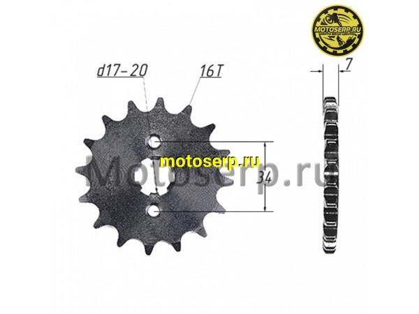 Купить  Звезда ведущая (428-16) 156-164FML (125-250cc) (шт) (MM 91393 (MT C-970 (MT C-1668 (R8 (ML 3095 (LIFAN GIA22711B9Z50 купить с доставкой по Москве и России, цена, технические характеристики, комплектация фото  - motoserp.ru