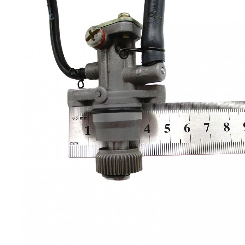 Купить  Насос масляный в сб Yamaha, Thunder, Flash и др (без дозатора) (шт) (MOTO-SKUTER 1163 (R1 купить с доставкой по Москве и России, цена, технические характеристики, комплектация фото  - motoserp.ru