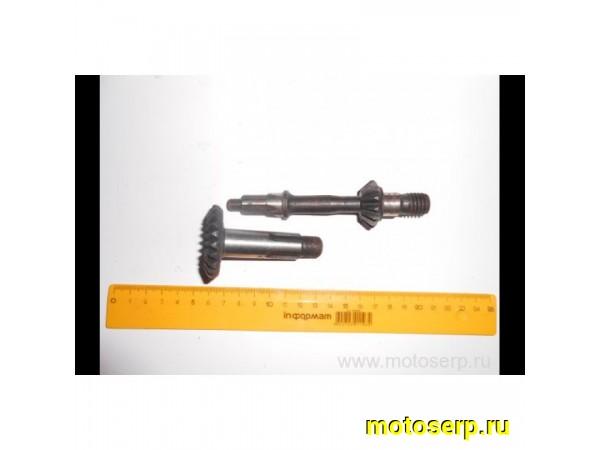 Купить  Редукторная пара Бензопила Б/П (пар) (0 купить с доставкой по Москве и России, цена, технические характеристики, комплектация фото  - motoserp.ru