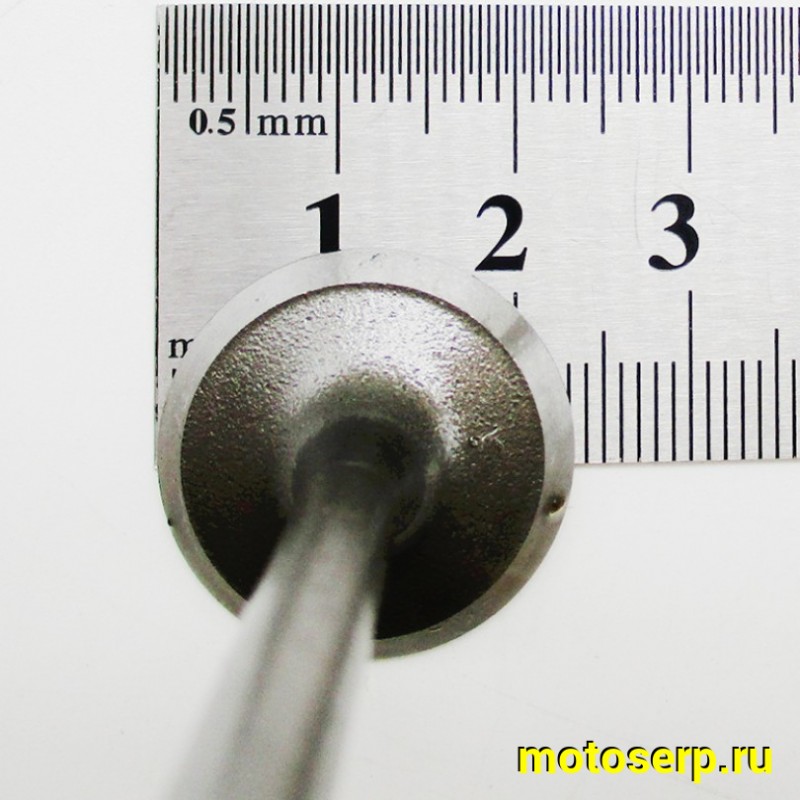 Купить  Клапан 158QMJ (впуск/выпуск) (D-27mm, d-23mm, L-81mm, l-80mm, T-5mm, t-5mm) Stels VORTEX150, Tactic 150 и др (пар) (R1 купить с доставкой по Москве и России, цена, технические характеристики, комплектация фото  - motoserp.ru