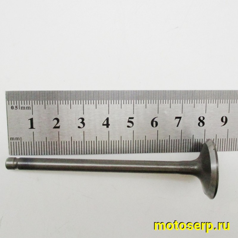 Купить  Клапан 158QMJ (впуск/выпуск) (D-27mm, d-23mm, L-81mm, l-80mm, T-5mm, t-5mm) Stels VORTEX150, Tactic 150 и др (пар) (R1 купить с доставкой по Москве и России, цена, технические характеристики, комплектация фото  - motoserp.ru