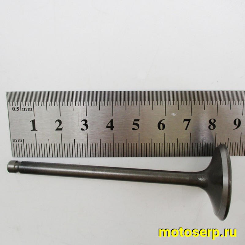 Купить  Клапан 158QMJ (впуск/выпуск) (D-27mm, d-23mm, L-81mm, l-80mm, T-5mm, t-5mm) Stels VORTEX150, Tactic 150 и др (пар) (R1 купить с доставкой по Москве и России, цена, технические характеристики, комплектация фото  - motoserp.ru