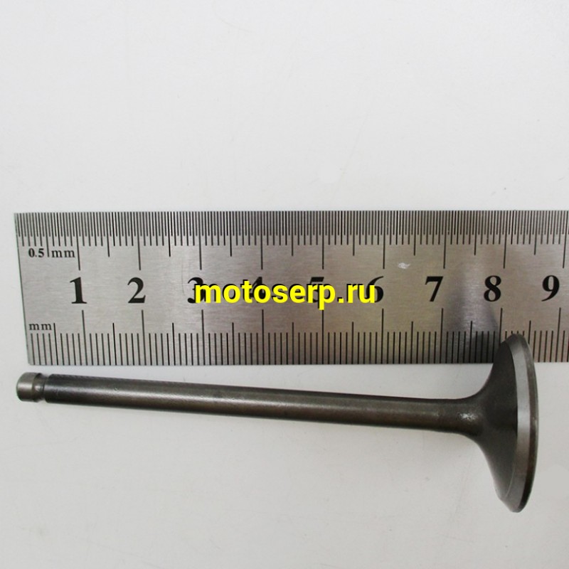 Купить  Клапан 158QMJ (впуск/выпуск)(D-27mm, d-23mm, L-81mm, l-80mm, T-5mm, t-5mm)  Stels VORTEX150  Tactic 150 и др (пар)  (R1 купить с доставкой по Москве и России, цена, технические характеристики, комплектация фото  - motoserp.ru