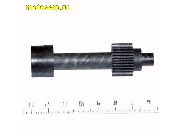 Купить  Шестерня прив. маслонасоса Suzuki AD-50 (шт)  (R1 купить с доставкой по Москве и России, цена, технические характеристики, комплектация фото  - motoserp.ru