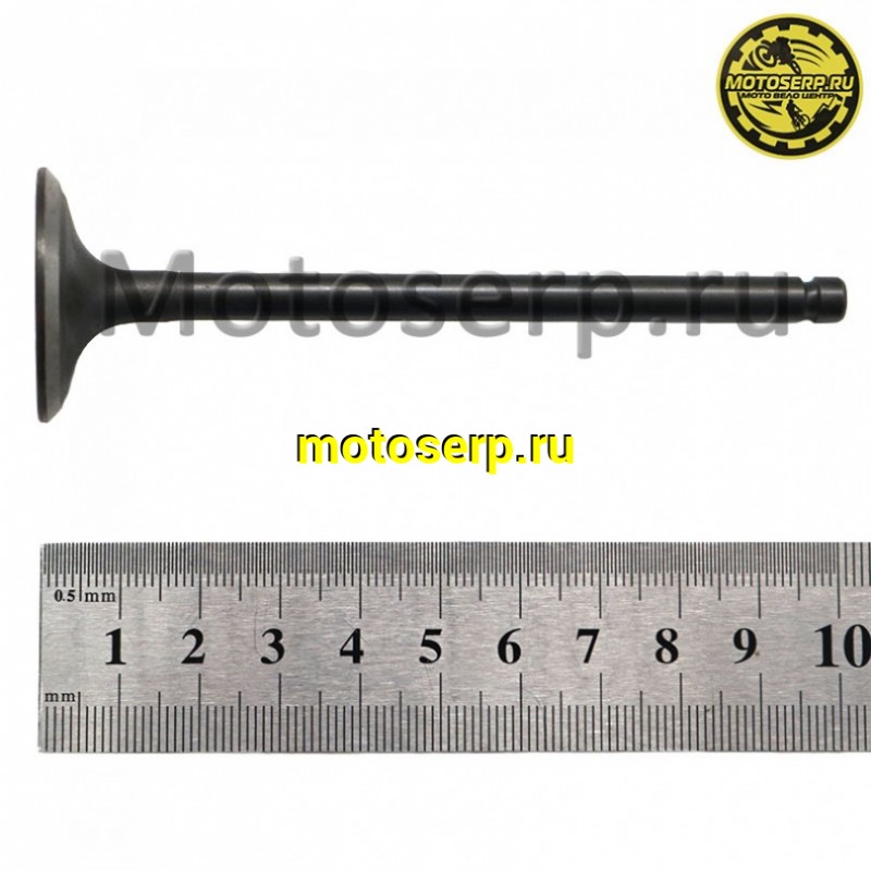 Купить  Клапан ATV 500K (впуск) (L=101mm, D=31mm, T-6mm) (шт) (0 купить с доставкой по Москве и России, цена, технические характеристики, комплектация фото  - motoserp.ru
