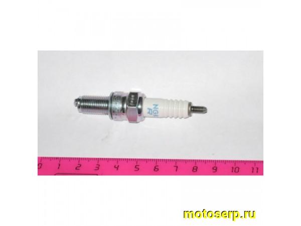 Купить  Свеча зажигания ( 6) NGK CR6E для ATV 700D (шт) (R1 (MD 01533 купить с доставкой по Москве и России, цена, технические характеристики, комплектация фото  - motoserp.ru