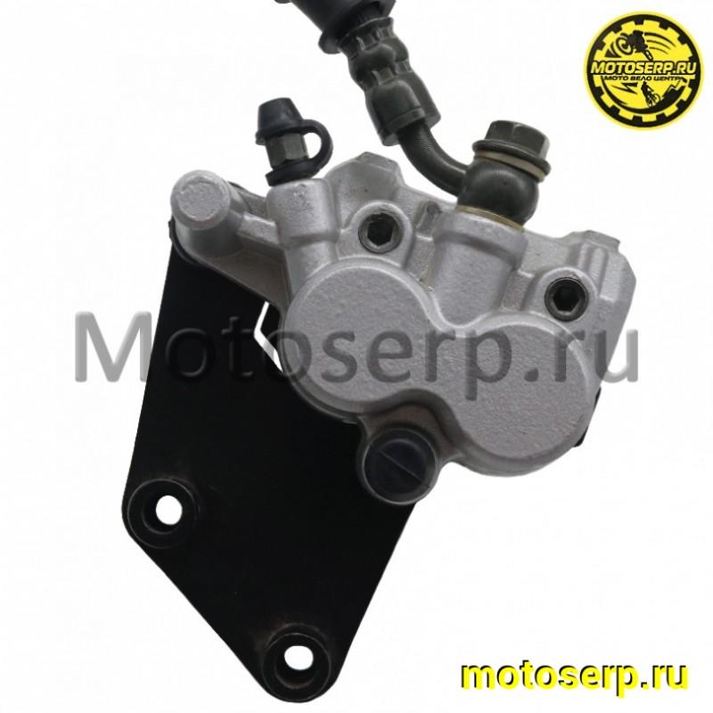 Купить  Тормоз передний в сб диск Irbis GRACE, SKYNET, MATADOR и др (шт) (MM 21543 (0 купить с доставкой по Москве и России, цена, технические характеристики, комплектация фото  - motoserp.ru