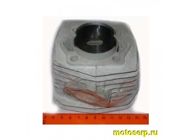 Купить  Цилиндр голый F-50  Газуля (шт)  (MM 11843 (MM 19543 (R8 купить с доставкой по Москве и России, цена, технические характеристики, комплектация фото  - motoserp.ru
