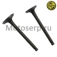 motoserp.ru - Клапан 139FMB (впуск/выпуск) (D-23mm, d-20mm, L-66mm, l-65mm, T-5mm, t-5mm) мопед, ATV и др. (пар) (TATA 10013022 (MM 12643 (R1 (Дан (MD 1377 - МотоВелоЦентр г.Серпухов