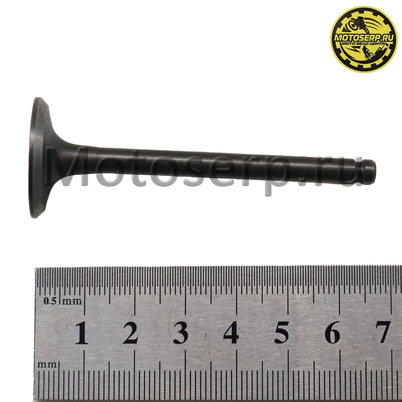 Купить  Клапан 139FMB (впуск/выпуск) (D-23mm, d-20mm, L-66mm, l-65mm, T-5mm, t-5mm) мопед, ATV и др. (пар) (TATA 10013022 (MM 12643 (R1 (Дан (MD 1377 купить с доставкой по Москве и России, цена, технические характеристики, комплектация фото  - motoserp.ru