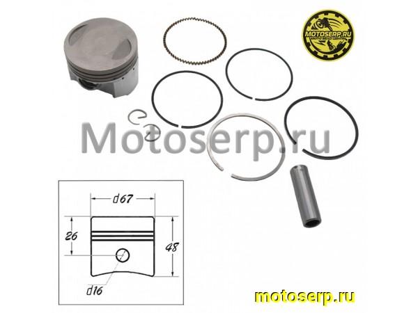 Купить  Поршень 167FMI D67; p-16;  (CG250) (шт)  (MM 13070  (ML 5541 купить с доставкой по Москве и России, цена, технические характеристики, комплектация фото  - motoserp.ru