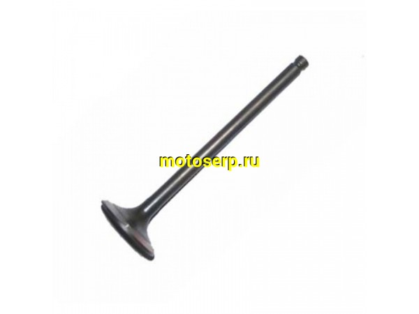 Купить  Клапан 164FML (впуск) (D-31mm, L-91mm, T-5mm) Stels SB200 (шт)  (0 купить с доставкой по Москве и России, цена, технические характеристики, комплектация фото  - motoserp.ru