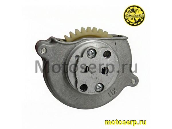 Купить  Насос масляный в сб 164FML  Stels SB200 и др (шт) (0 купить с доставкой по Москве и России, цена, технические характеристики, комплектация фото  - motoserp.ru