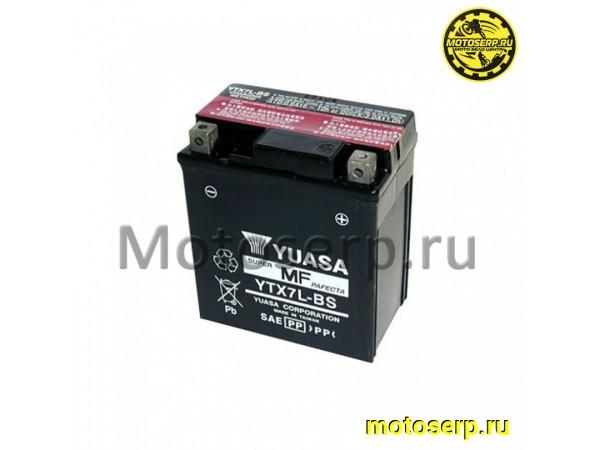 Купить  Аккумулятор 12в  7а (113х70х130) высок  (шт) (R2 (R1 купить с доставкой по Москве и России, цена, технические характеристики, комплектация фото  - motoserp.ru