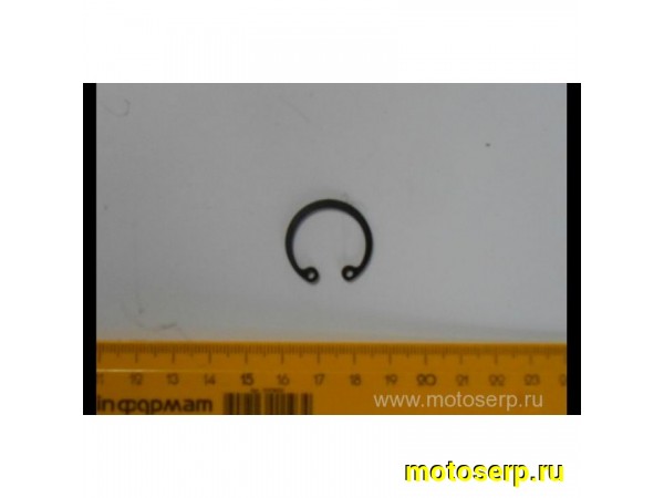 Купить  Кольцо стопорное CF 500 (шт) (MP 0180-040003-0050 (MM 27625 купить с доставкой по Москве и России, цена, технические характеристики, комплектация фото  - motoserp.ru