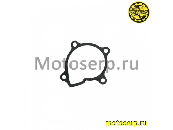 Купить  Прокладка корпуса помпы CF 500 (шт) (MP 0180-081006 купить с доставкой по Москве и России, цена, технические характеристики, комплектация фото  - motoserp.ru