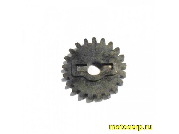 Купить  Шестерня помпы CF X8 (шт) (MP 0800-080002 купить с доставкой по Москве и России, цена, технические характеристики, комплектация фото  - motoserp.ru