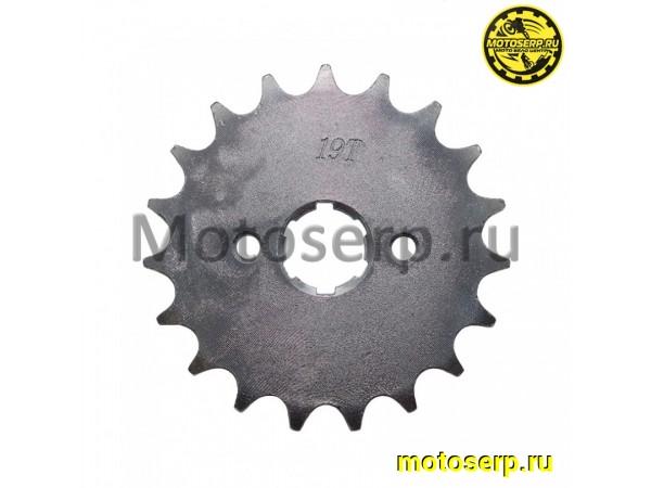 Купить  Звезда ведущая (428-19) 156-164FML (125-250cc) вал 20мм (шт) (ML 5555 (ML 12072 (Дан купить с доставкой по Москве и России, цена, технические характеристики, комплектация фото  - motoserp.ru