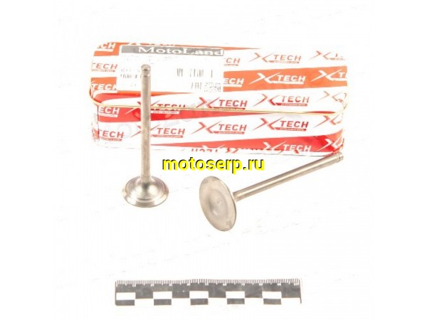Купить  Клапан 169FMM (впуск/выпуск) (D-34mm, d-28mm, L-89mm, l-89mm, T-5mm, t-5mm) CB250 TTR250 и др (пар) (ML 5211 купить с доставкой по Москве и России, цена, технические характеристики, комплектация фото  - motoserp.ru
